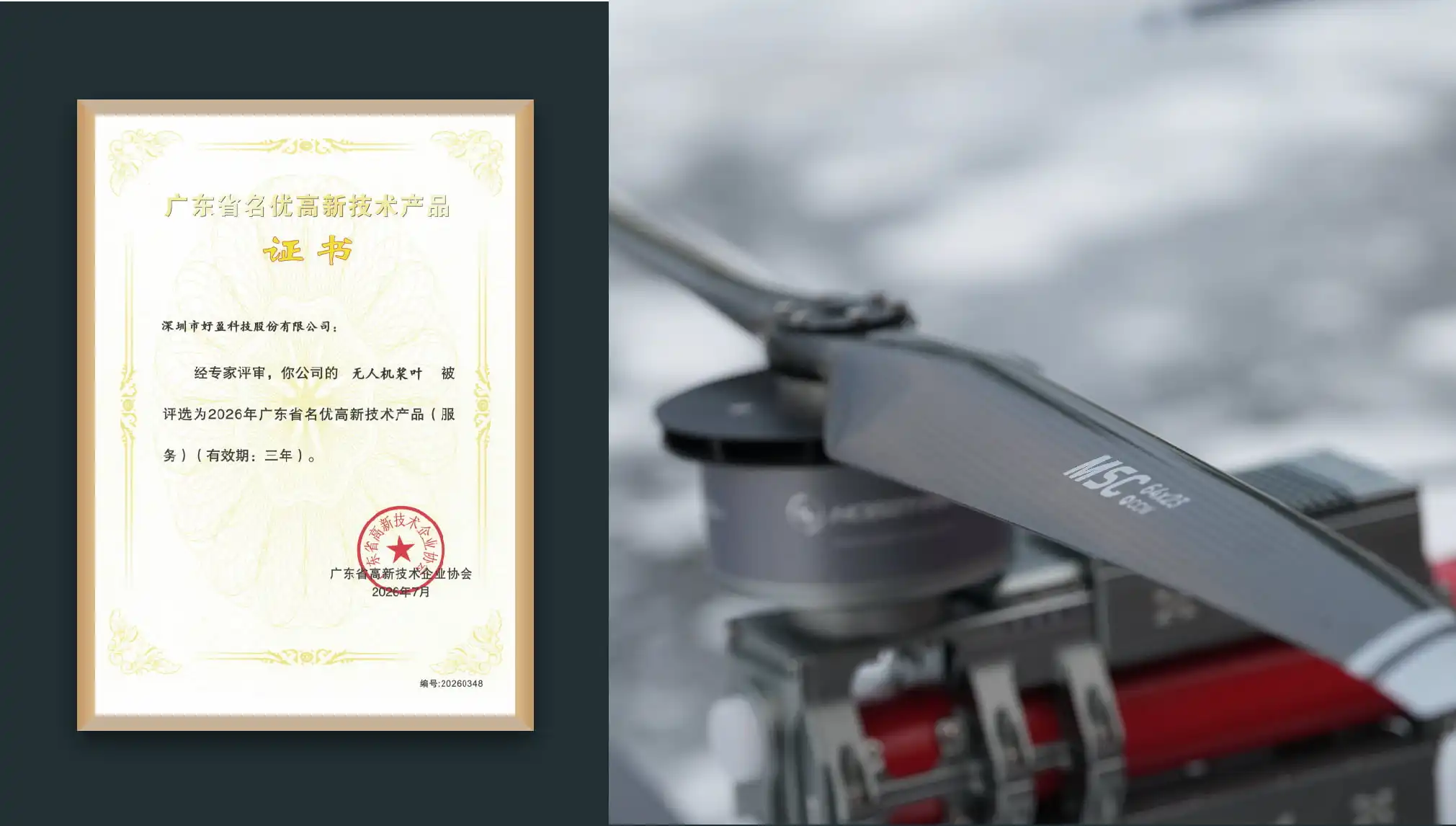 Drone Propeller
