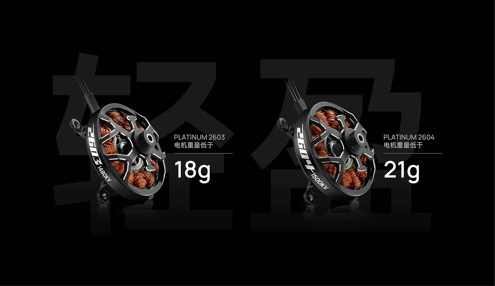 Platinum 2603 & 2604 F3P 4D & 3D Motor