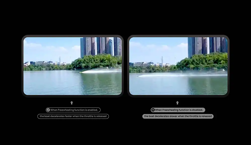 Freewheeling Function