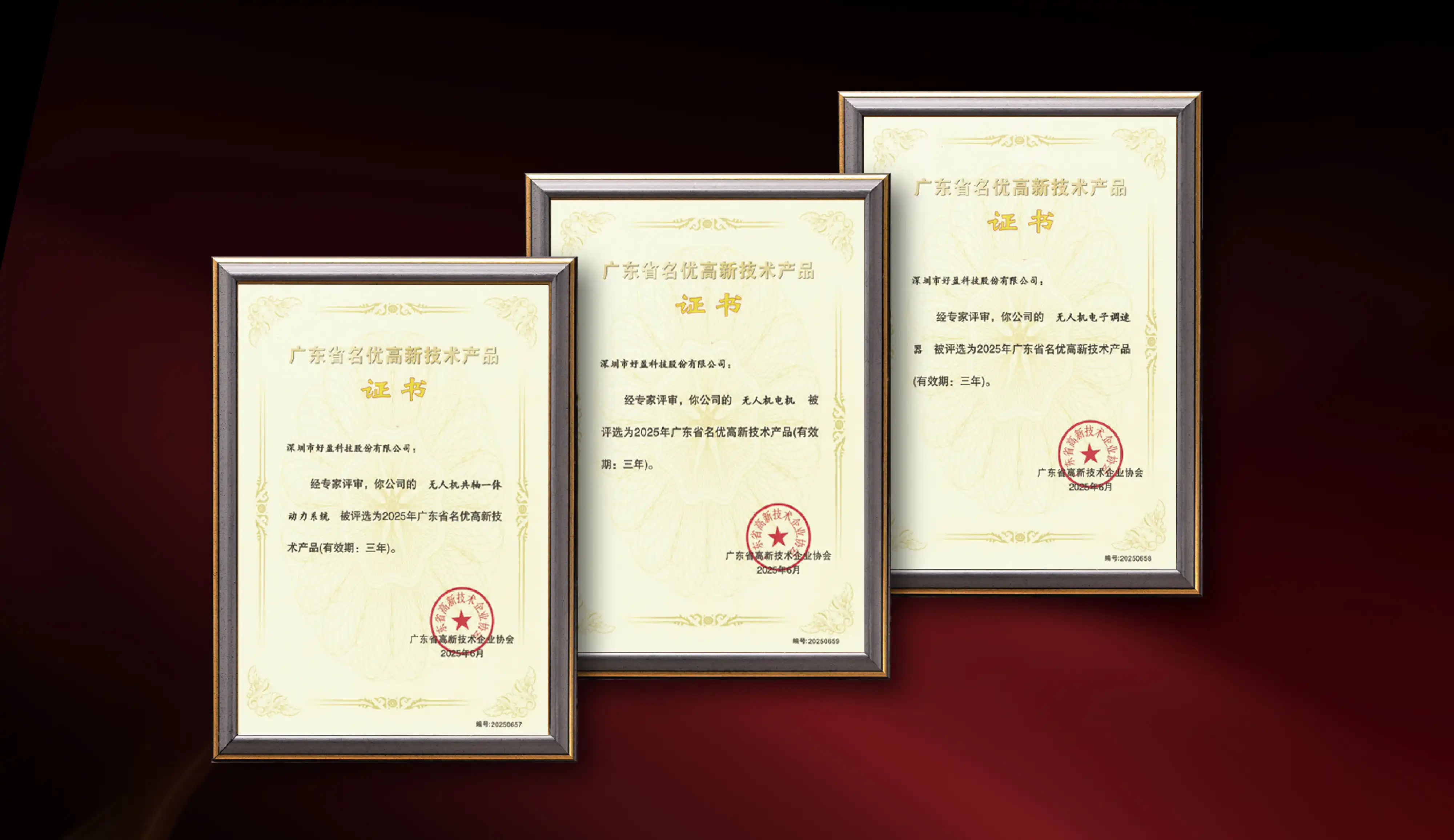 HOBBYWING Integrated Propulsion System