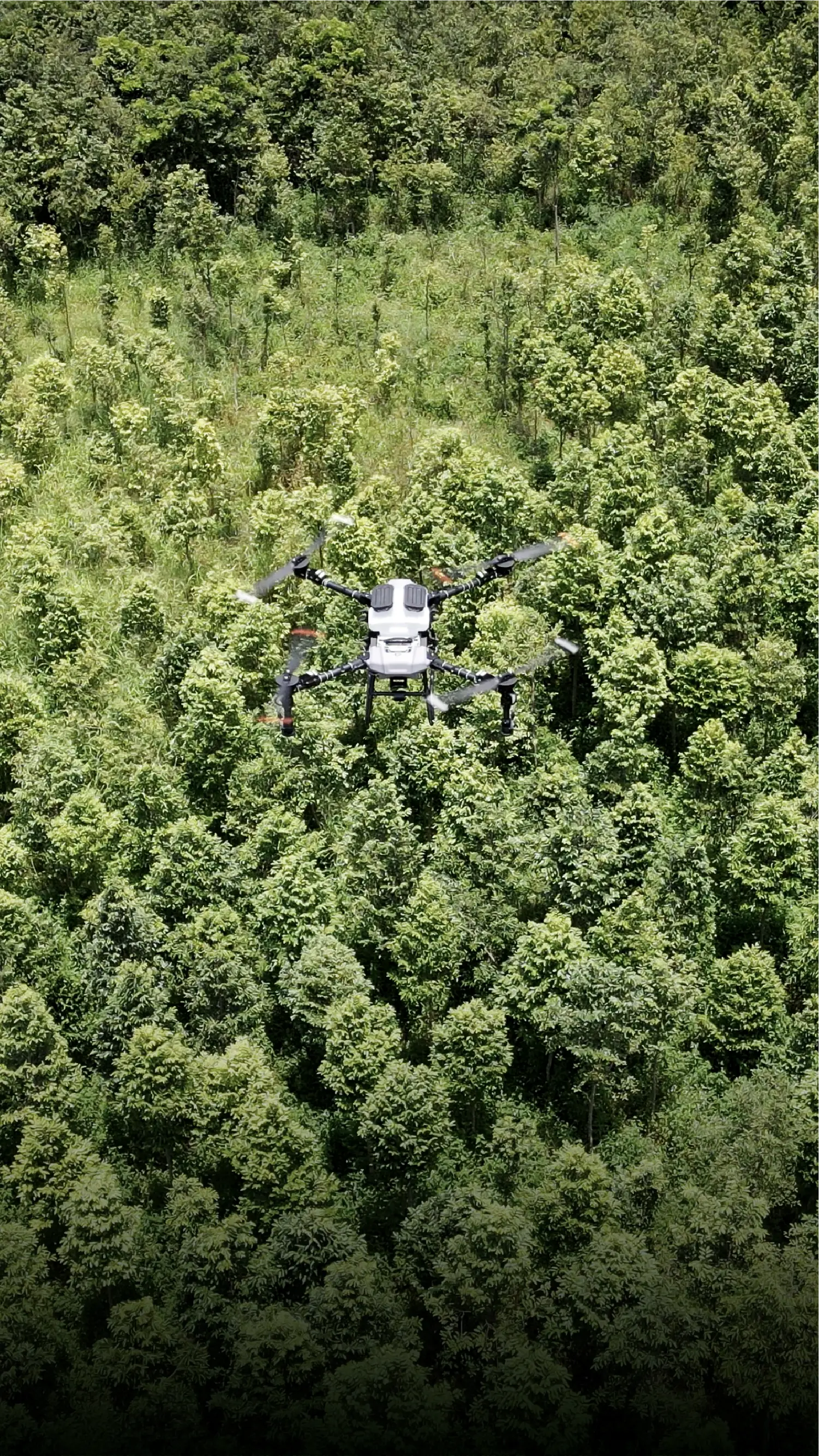 Motor and ESC for Drone