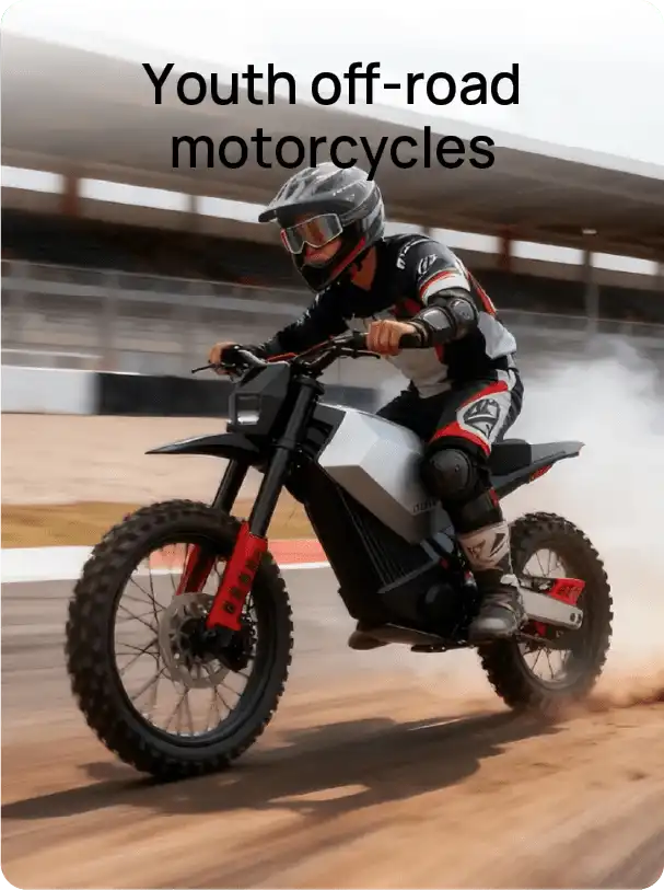 Electric Dirt Bike